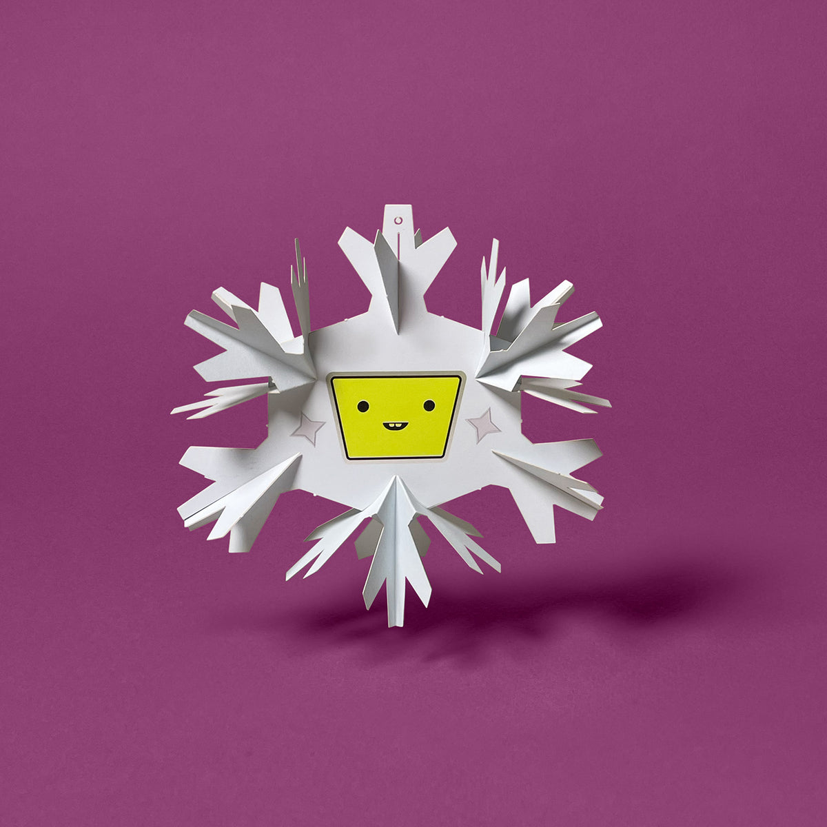 Flocki 3000 — Modell