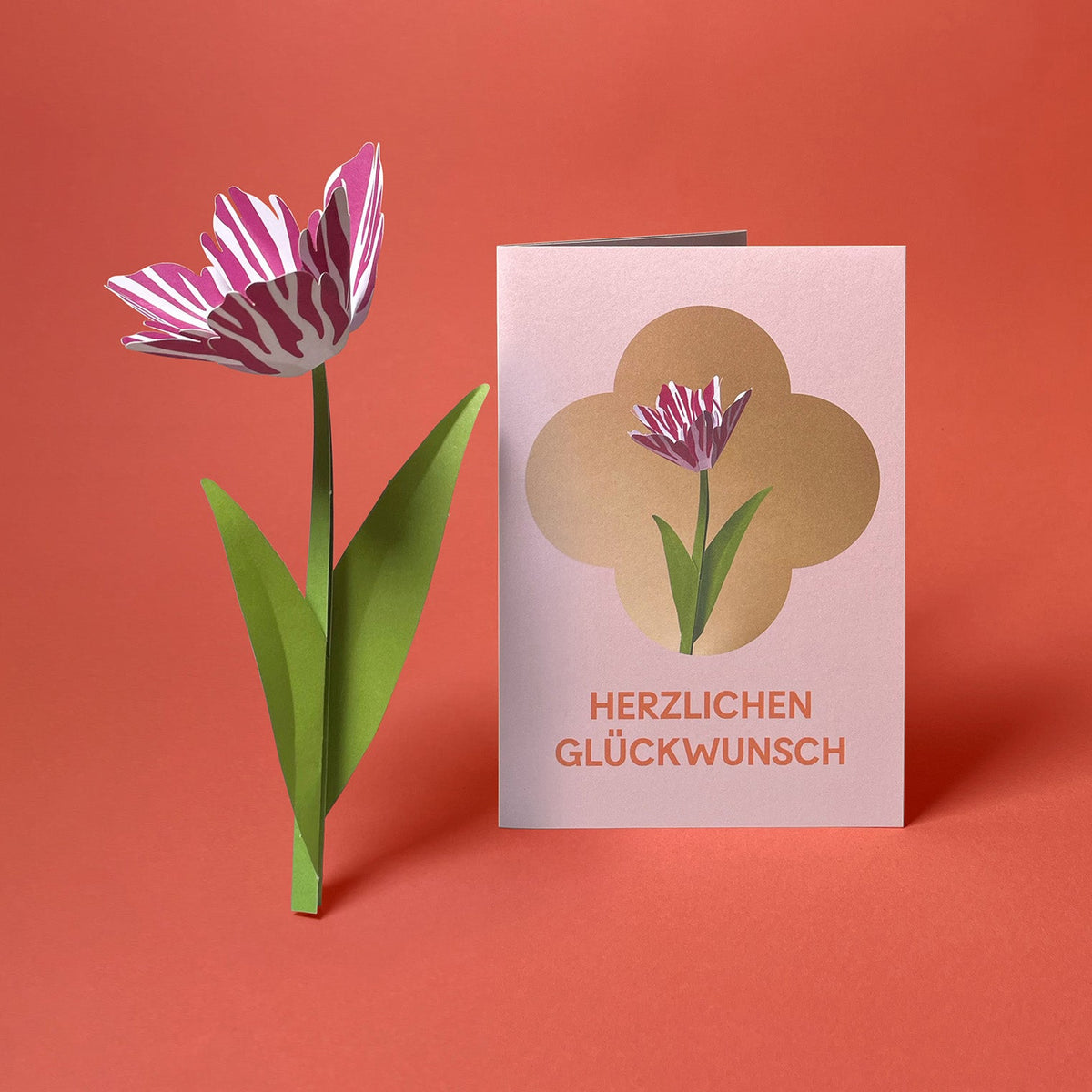 12 Grußkarten im Set: Ein Jahr sorglos: Tulpe Gestreift