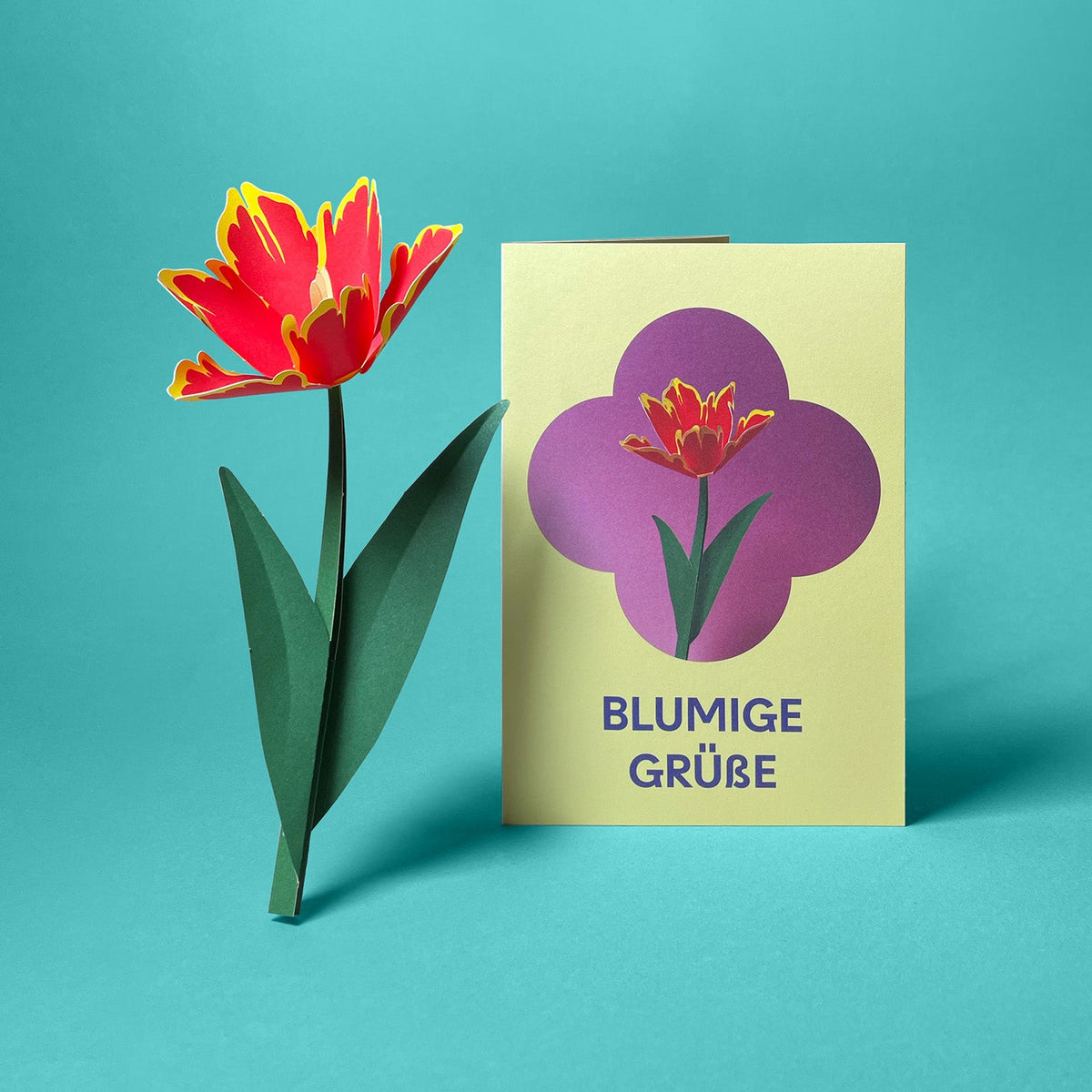 12 Grußkarten im Set: Ein Jahr sorglos: Tulpe Rot