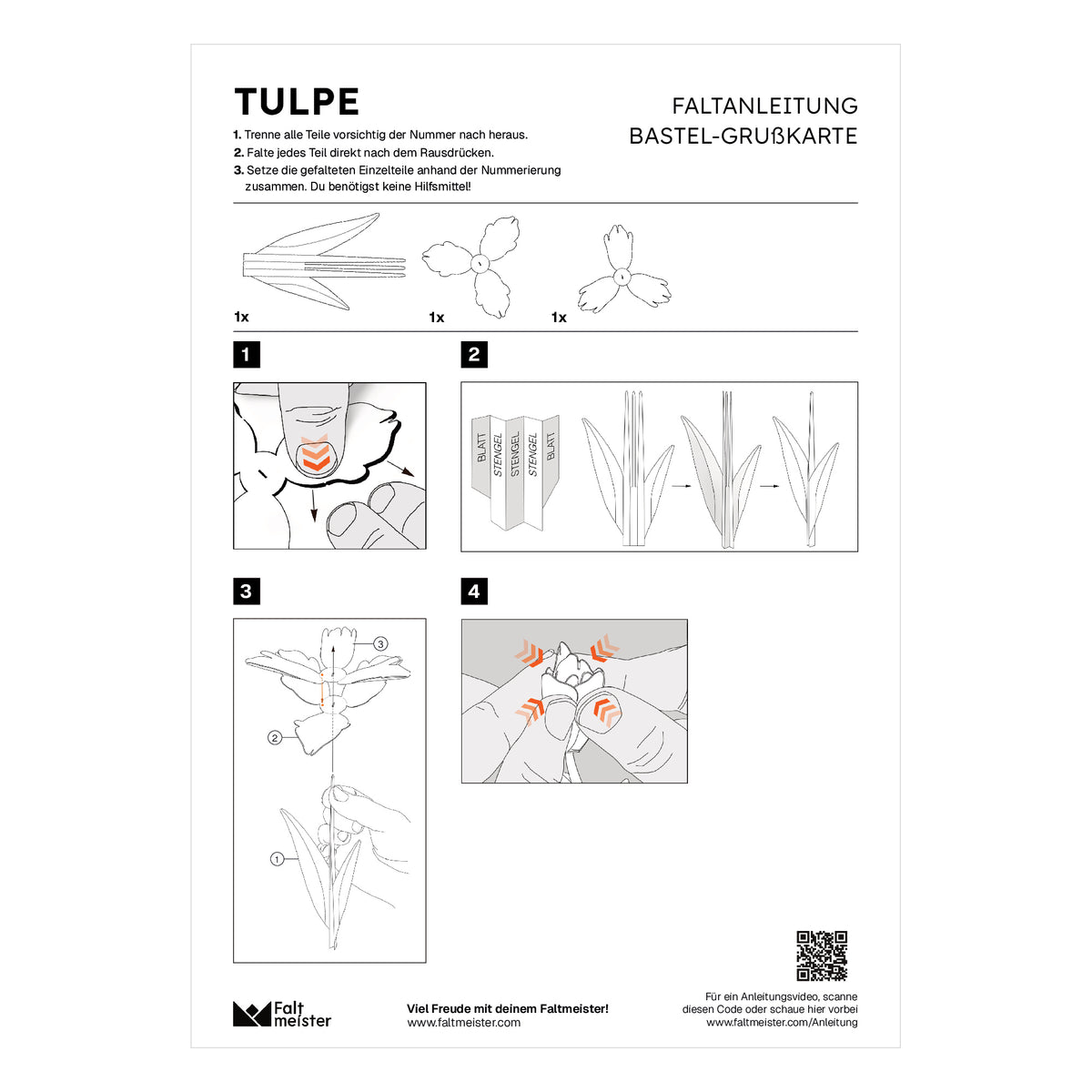 Bastelanleitung Tulpe